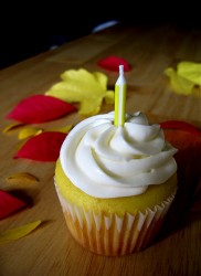 Does Lemon Cake Go With Coconut Frosting Does Lemon Cake Go With Coconut Frosting