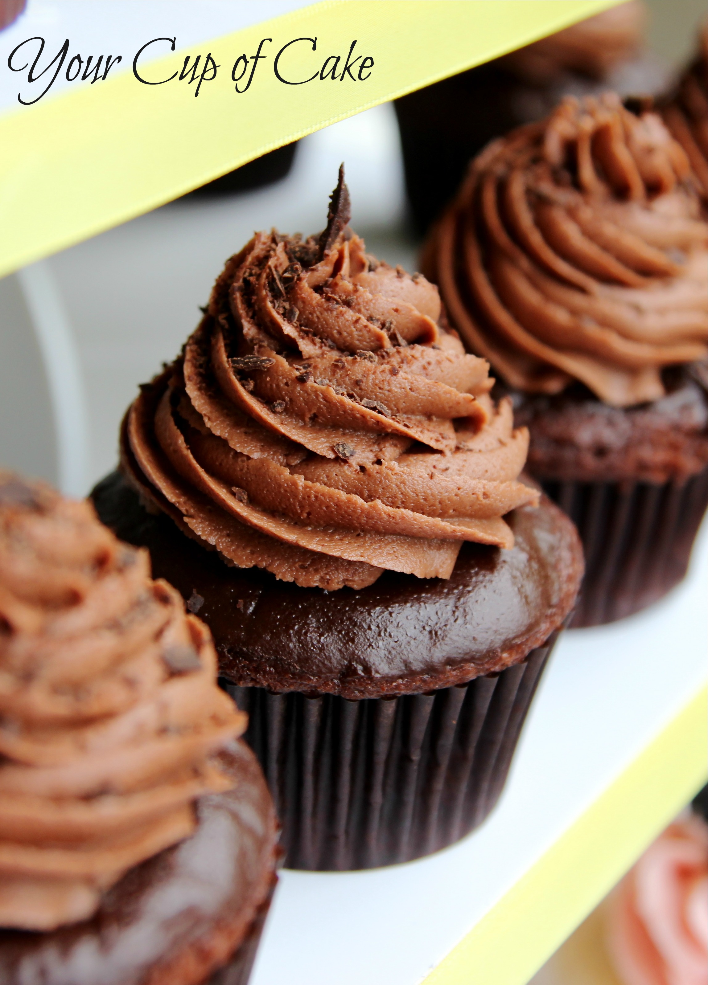 best chocolate cupcake recipe