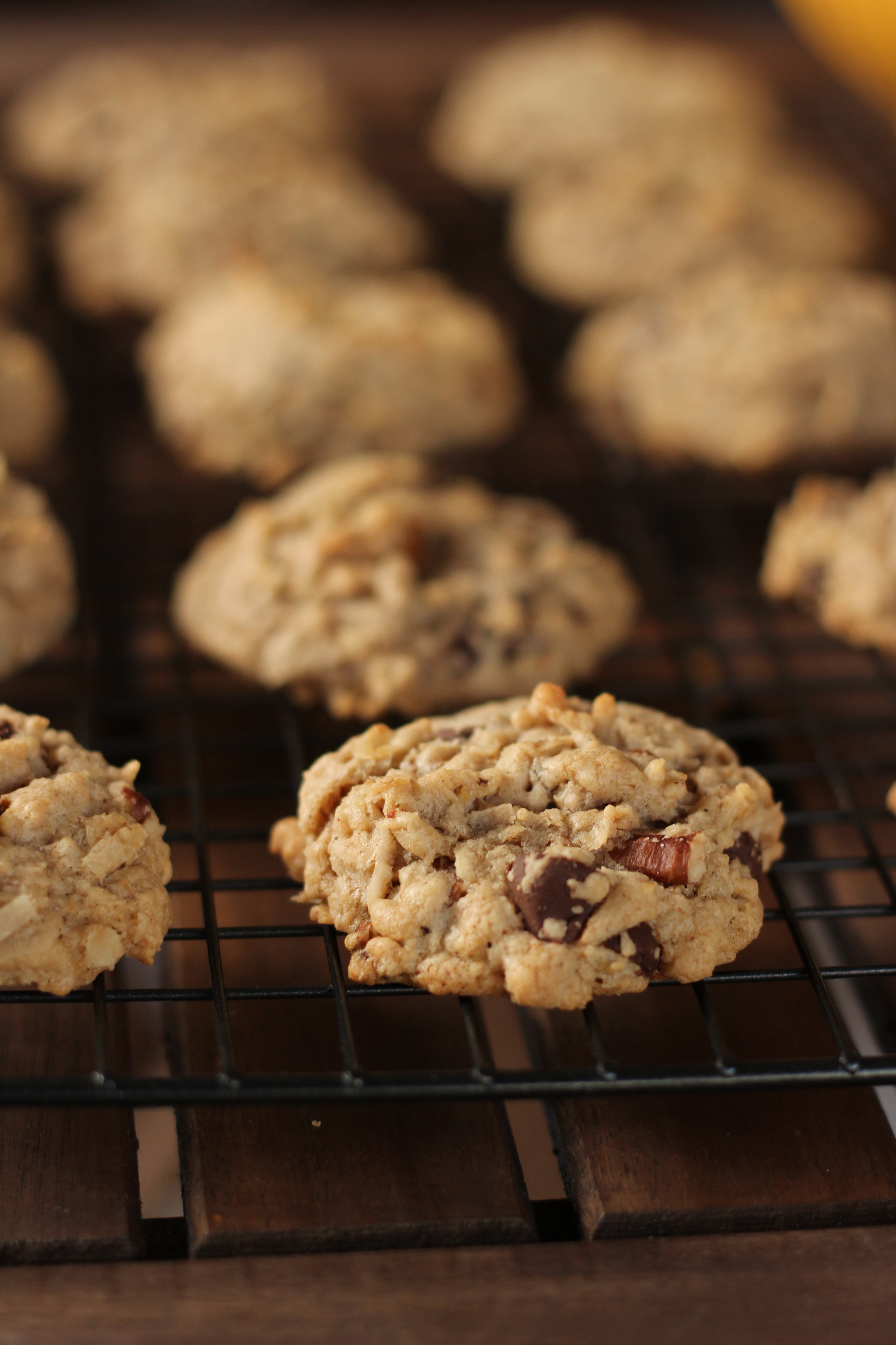 Coconut Oatmeal Chocolate Chip Cookies - Your Cup of Cake
