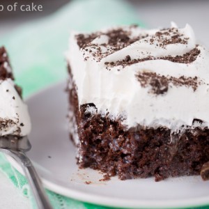 Thin Mint Poke Cake recipe, with a layer of hit fudge sauce! Yum!!