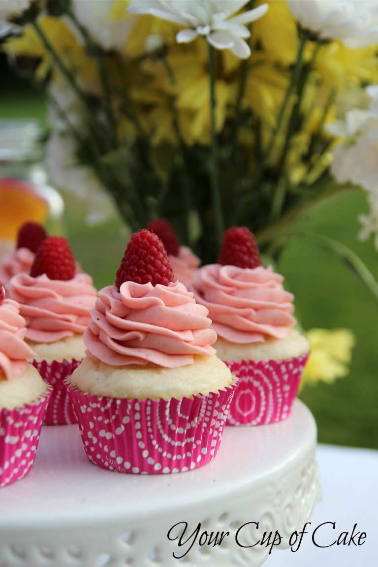 Double Berry Vanilla Cupcakes