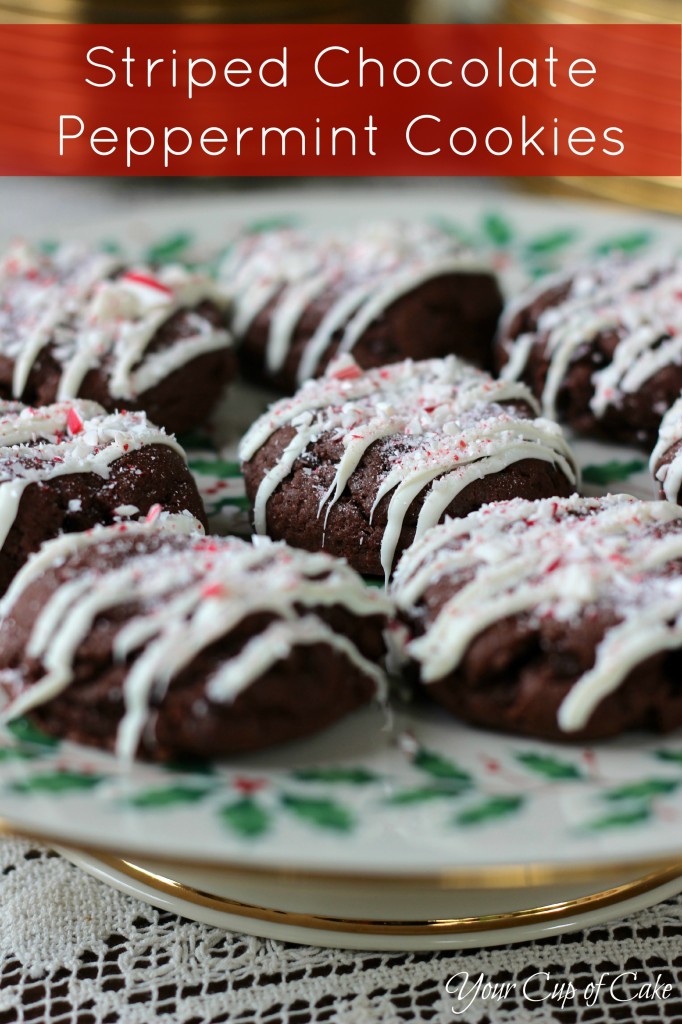 Striped Chocolate Peppermint Cookie