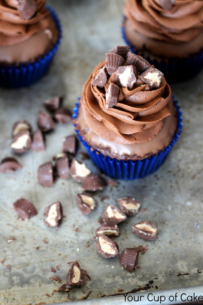 Chocolate Chocolate Peanut Butter Cupcakes