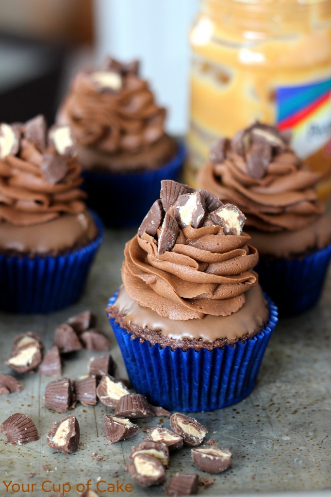 Double Chocolate Peanut Butter Cupcakes