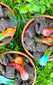 Dirt Puppy Chow