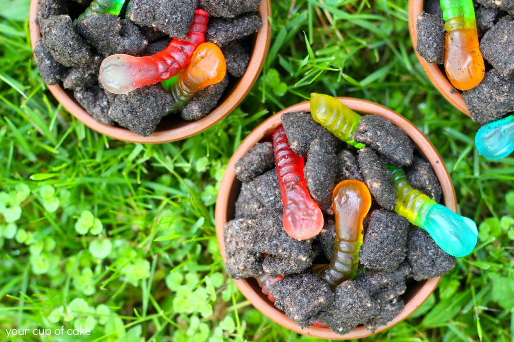 Dirt Puppy Chow for Kids