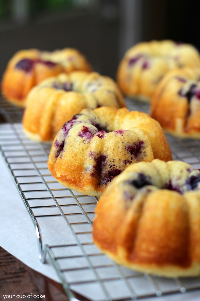 Bluberry mini bundt cakes