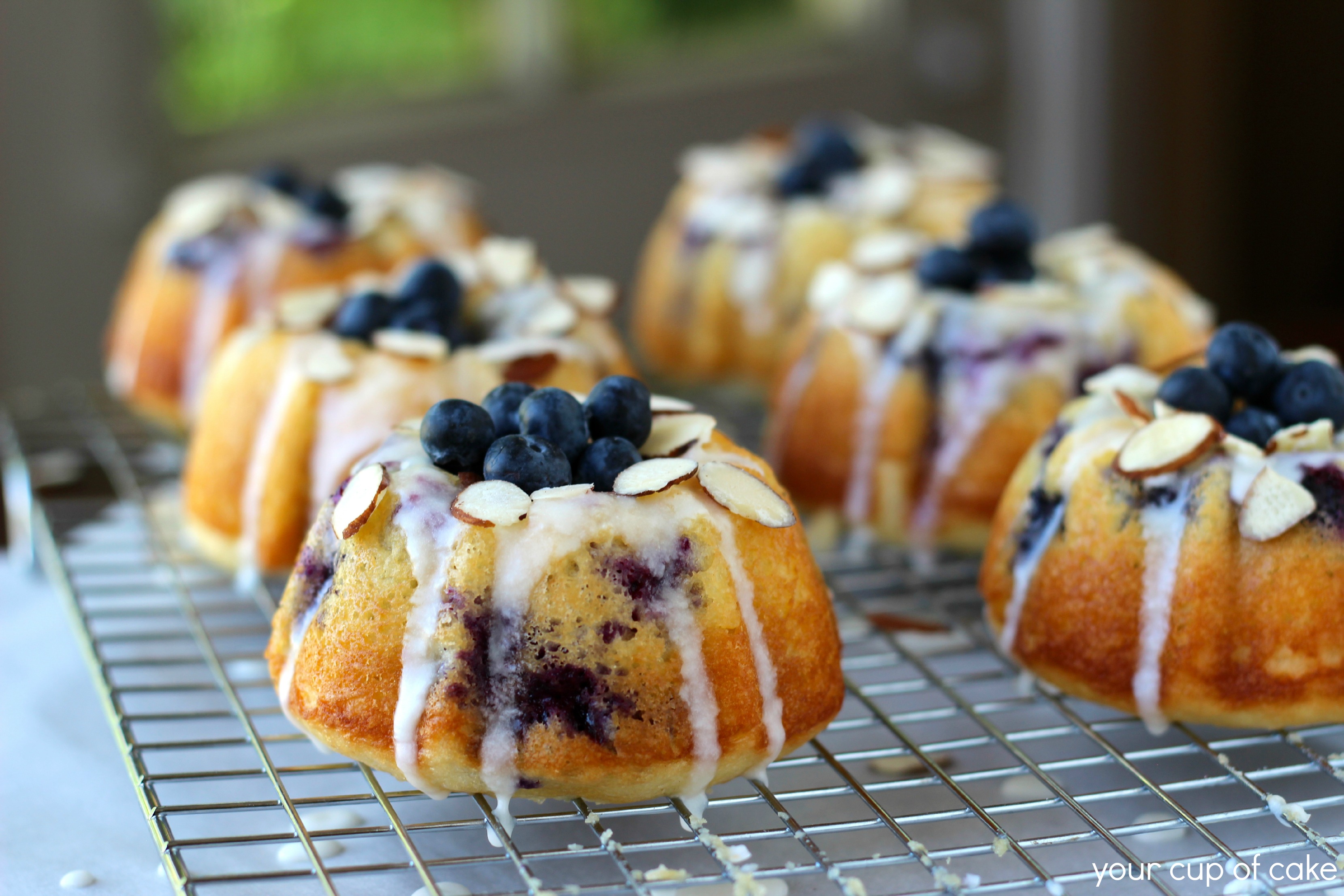 Mini Bundt Cakes with Citrus