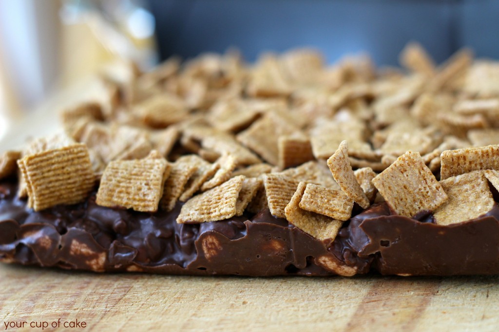 Smores quick fudge