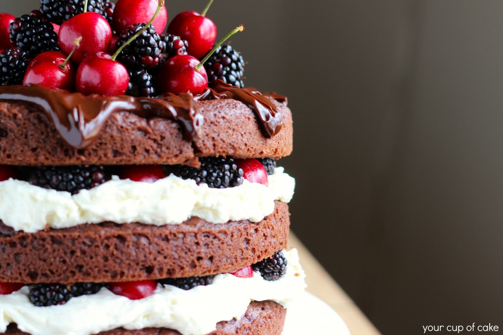 Blackberry and Cherry Whipped Cream Cake