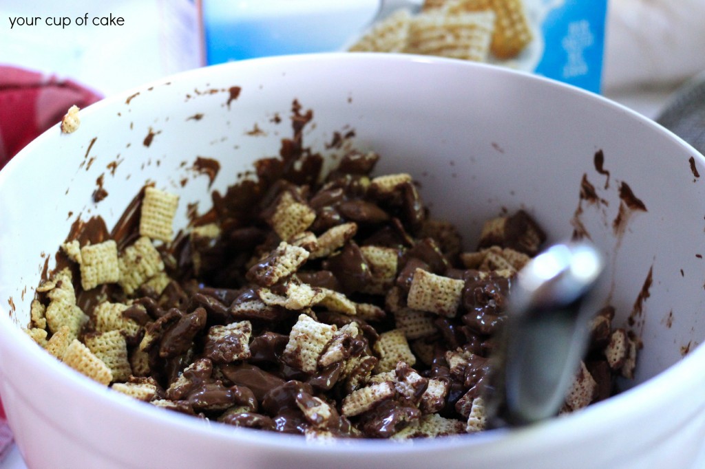 Making Muddy Buddies