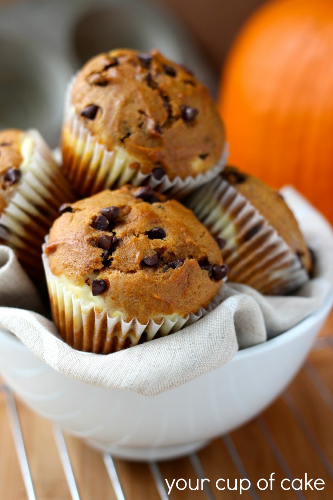 Chocolate Chip Pumpkin Muffins with Cream Cheese Swirl