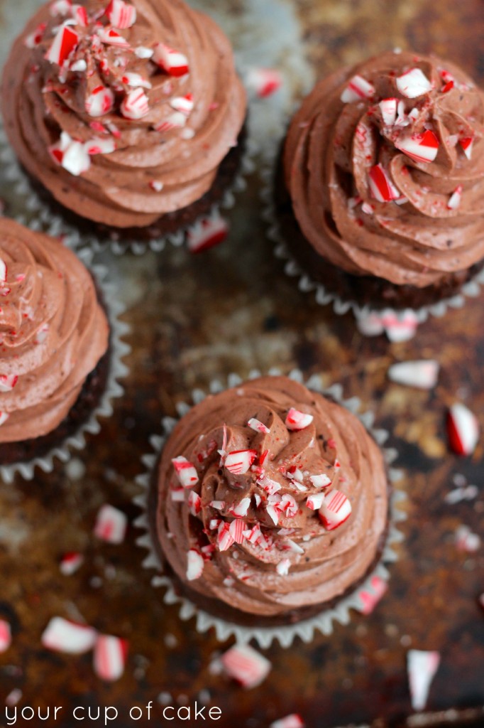 Chocolate Mousse Cupcakes with Peppermint