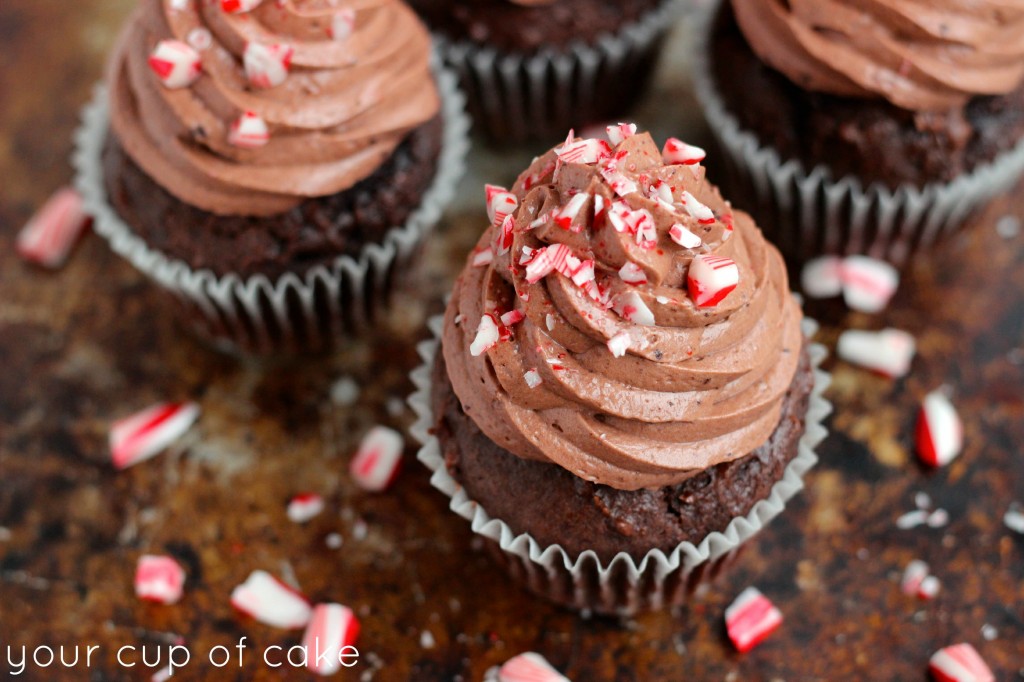 Chocolate Mousse on Cupcakes
