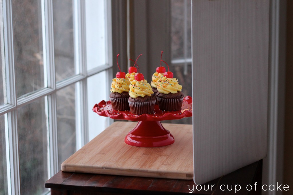 Cupcake Photography