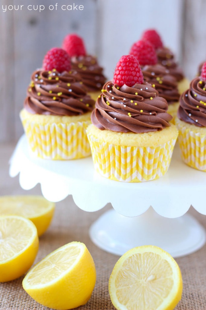 Chocolate Lemon Cupcake Recipe