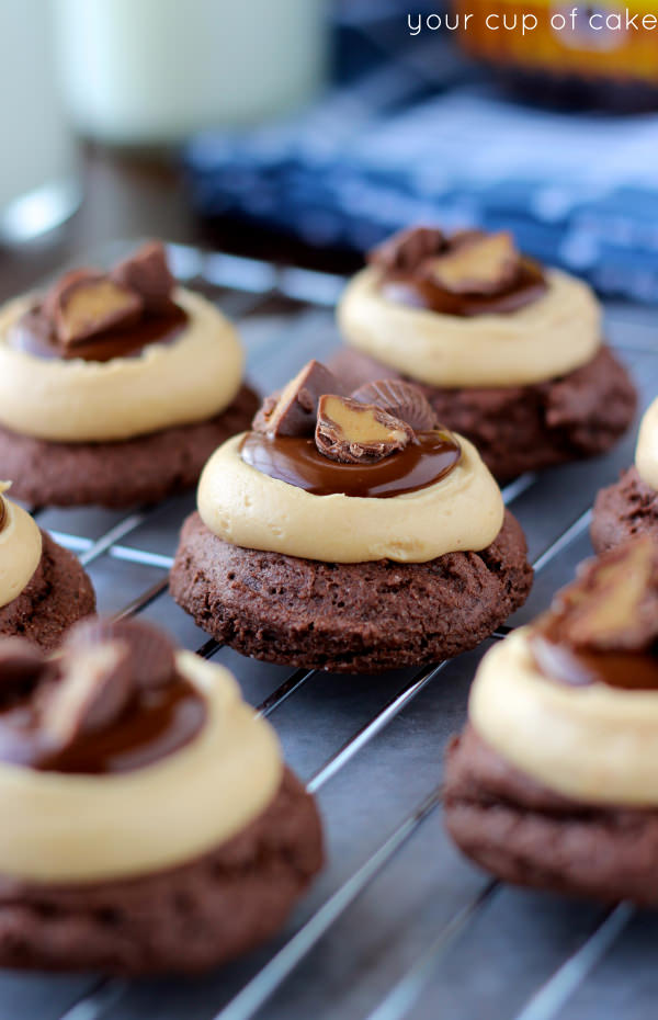 Peanut Butter Brownie Bites - Your Cup of Cake