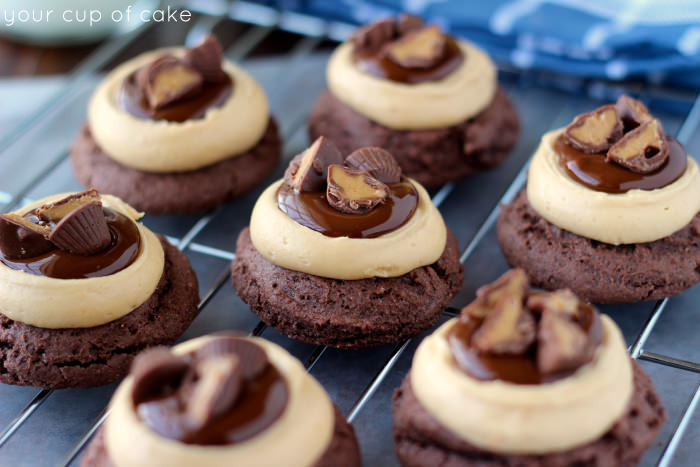 Peanut Butter Brownie Bites