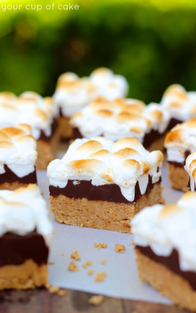 No Bake Peanut Butter Smore Bars