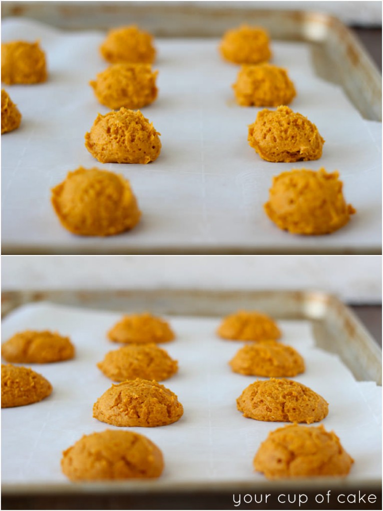 The best pumpkin cookies