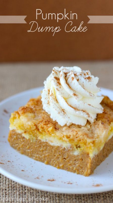 Pumpkin Cream Cheese Dump Cake (and how I got dumped) - Your Cup of Cake
