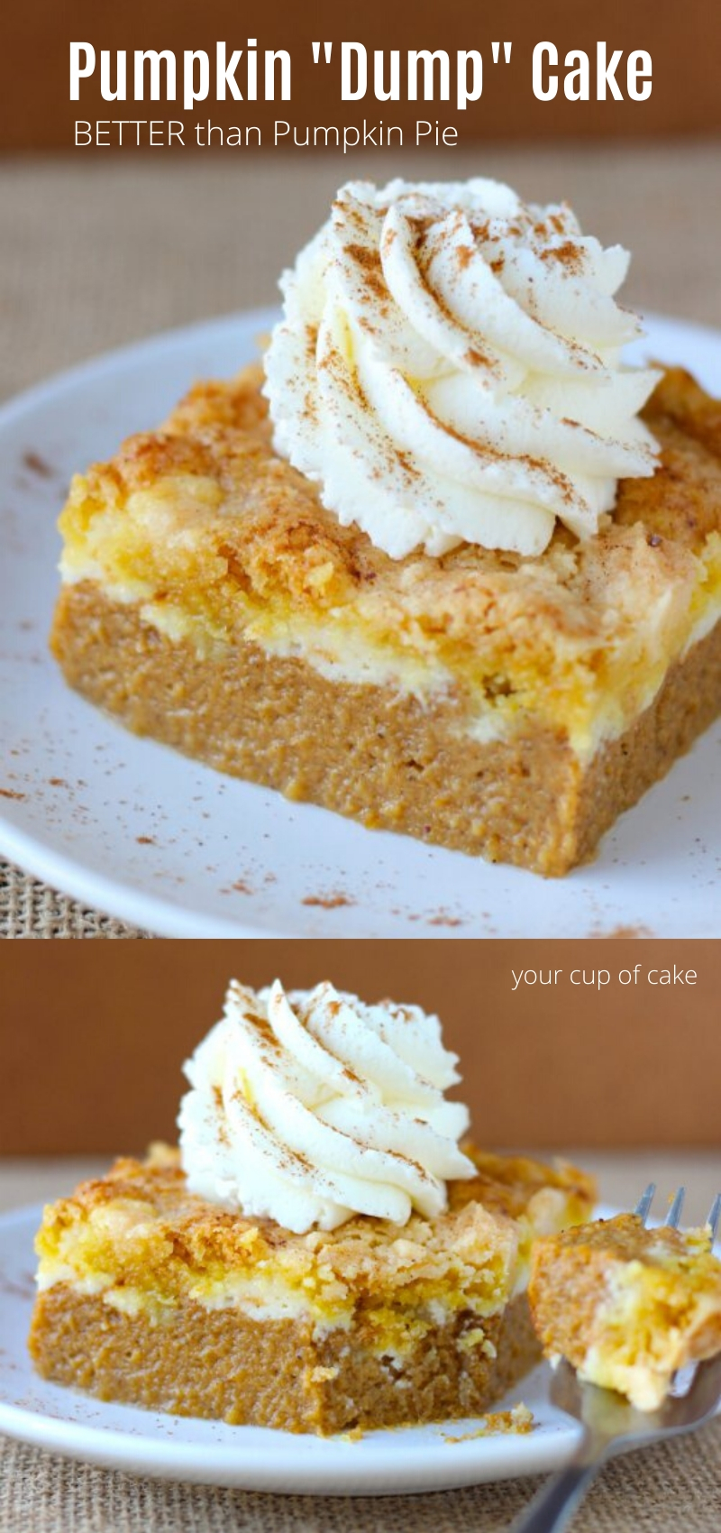 BETTER than pumpkin pie! This Pumpkin Dump Cake has a cream cheese swirl and takes just a few minutes to make! No fussing with crust for this Thanksgiving dessert