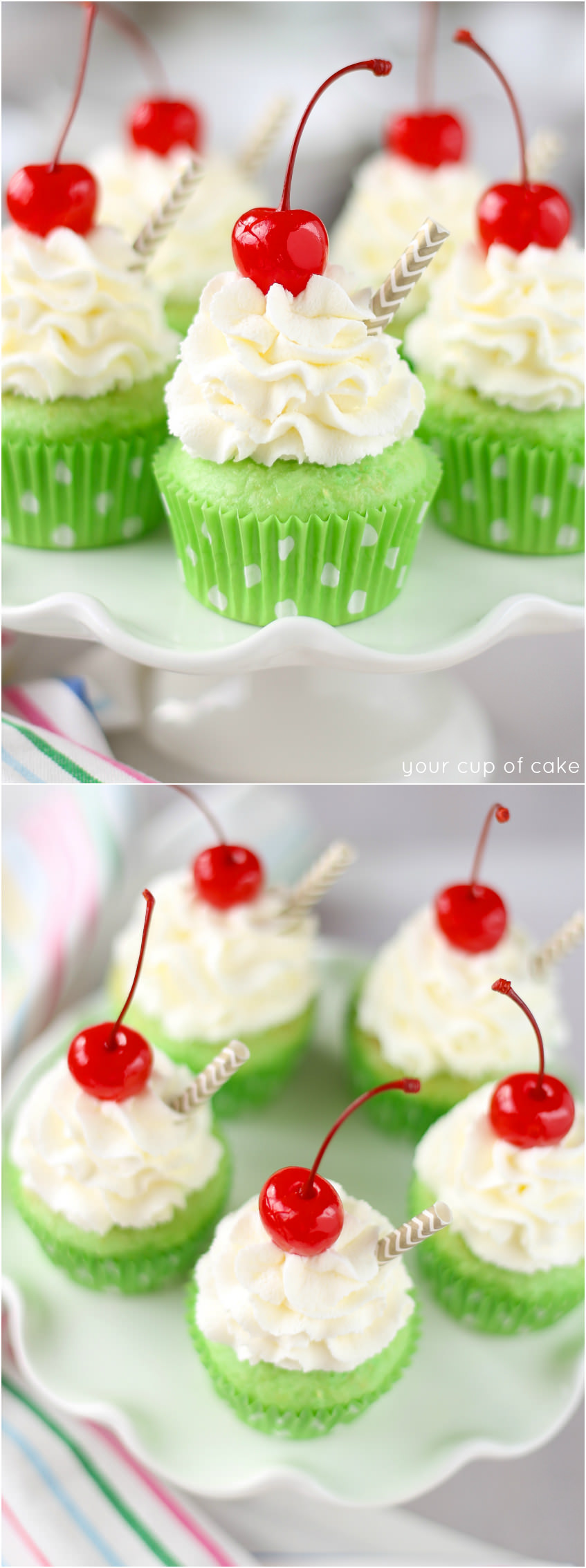 Patricks Day by Baking and Candy Cups 50 Shamrock Print Cupcake Liners Baking Cups STANDARD SIZE St 