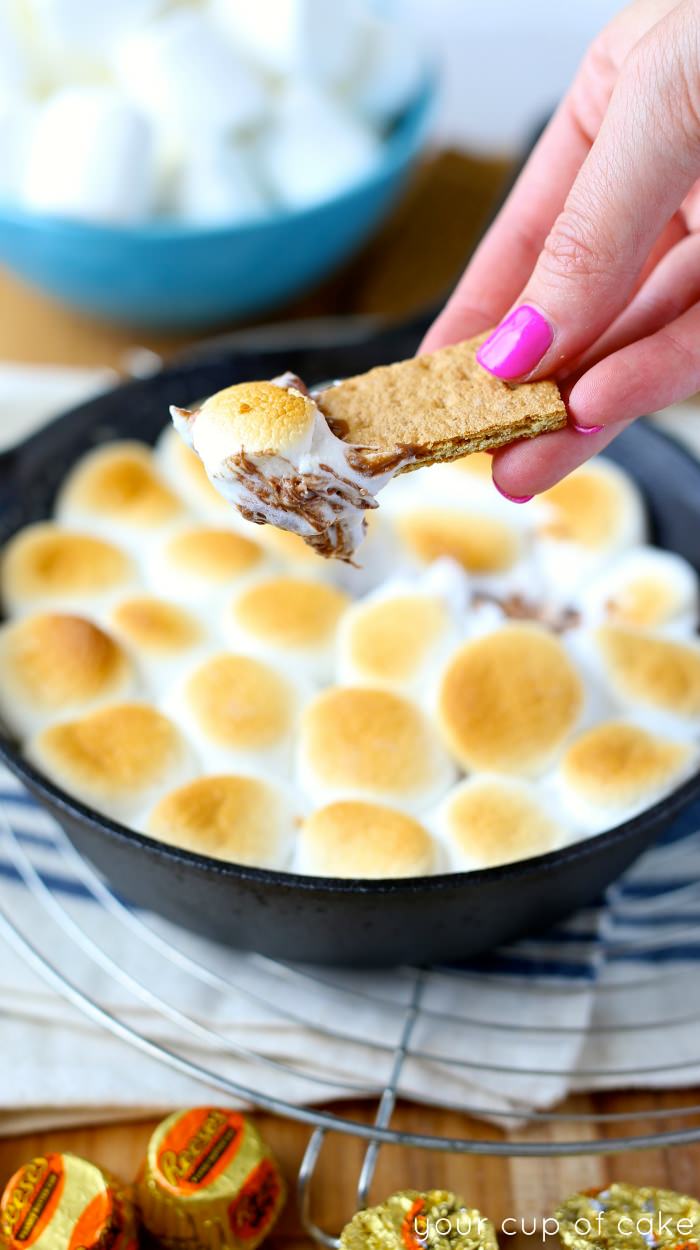 Reese's Cup S'mores dip with only 3 ingredients! I'm obsessed with this chocolate peanut butter goodness!