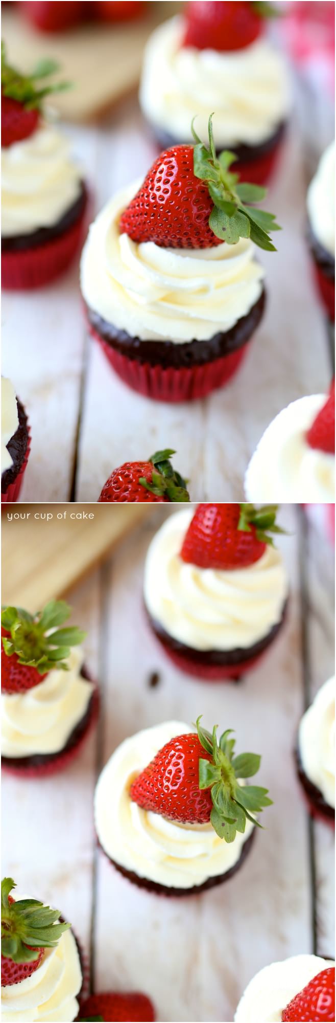 Chocolate Strawberry Cheesecake Cupcakes with chocolate ganache, yum!  My new favorite cupcakes!