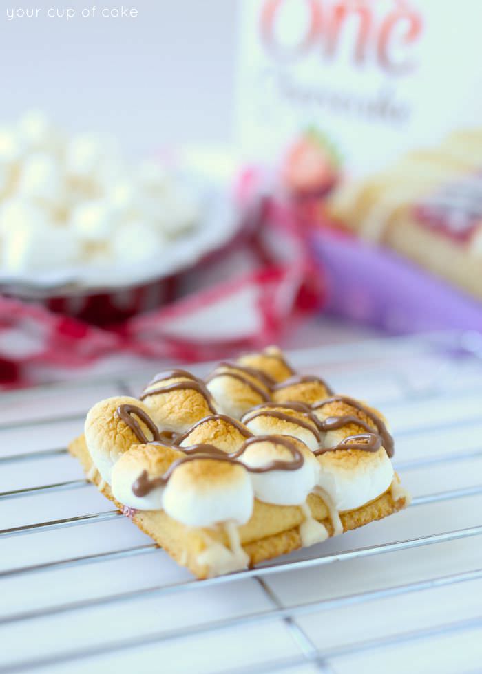 S'mores Cheesecake Bars in 3 minutes!