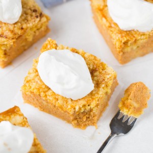 Magic Pumpkin Pie Cake, it better than pumpkin pie and it's easier too!