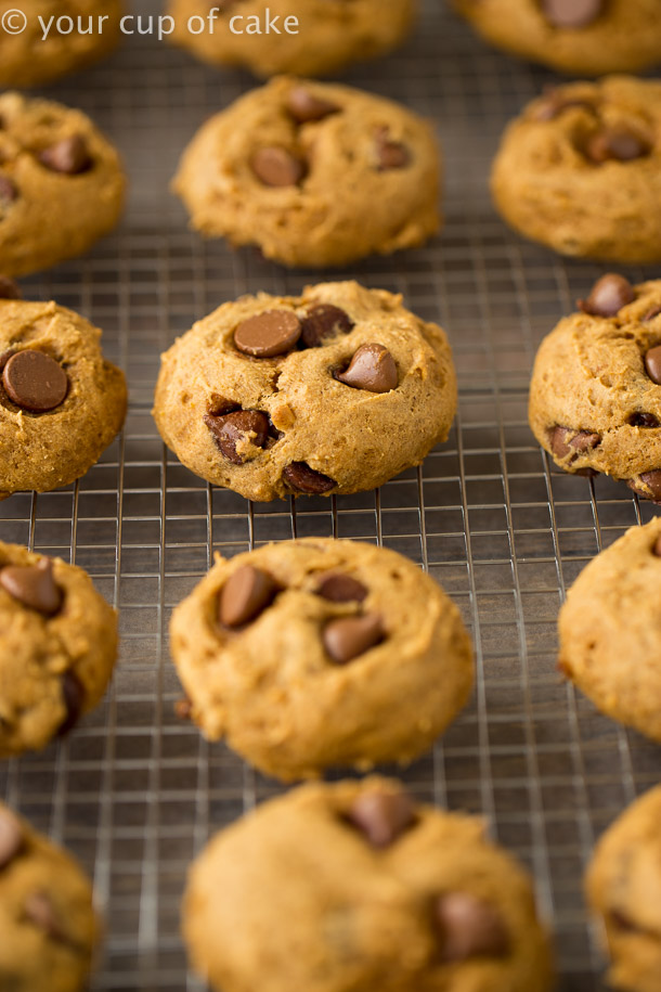 How to make the best Bakery Style Pumpkin Chocolate Chip Cookies