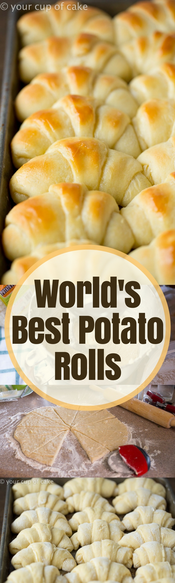 World's BEST Homemade Rolls Recipe - Oh Sweet Basil