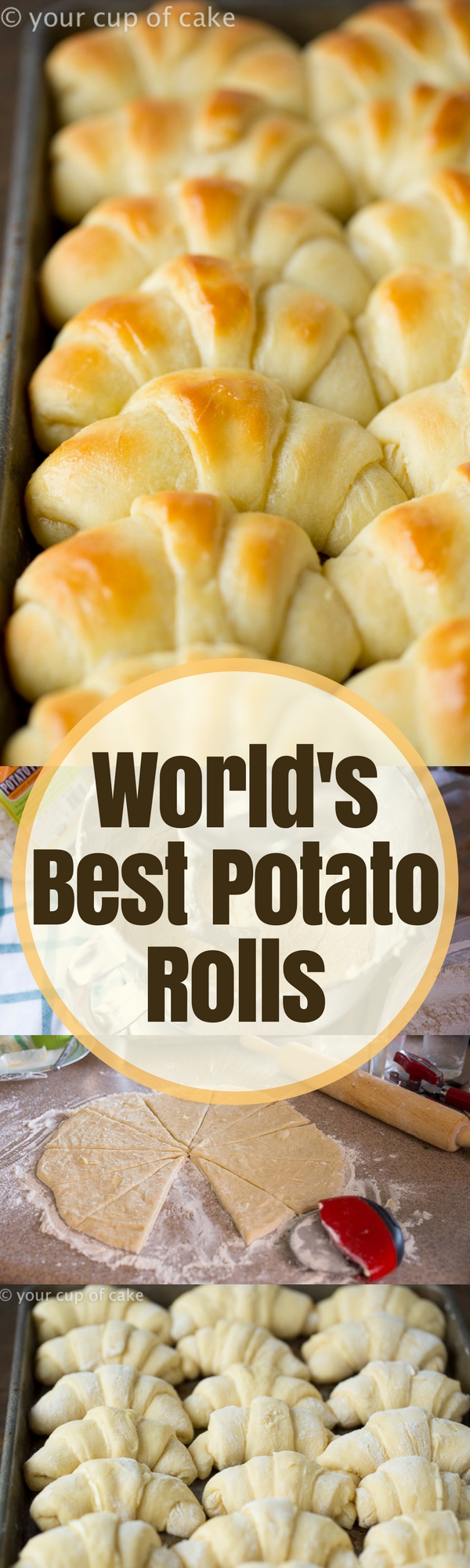 World's Best Potato Rolls - Your Cup of Cake