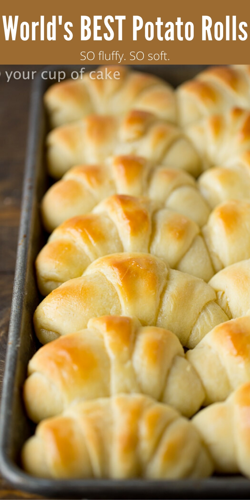 These rolls are AMAZING! Potato rolls are the best rolls made from scratch and no matter how many I make, we always run out before dinner is done! 