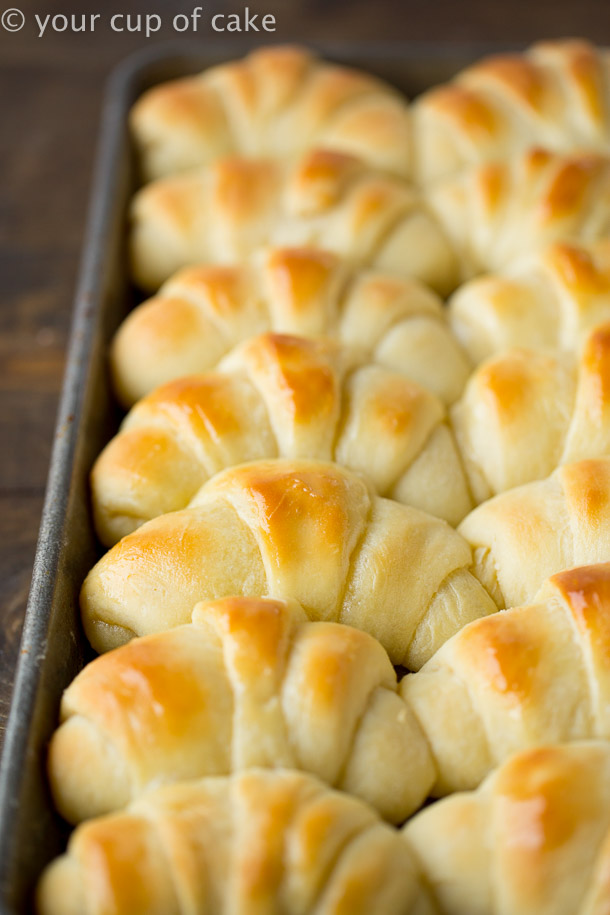 World's Best Potato Rolls