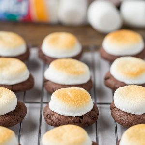 Hot Chocolate Cookies with Toasted Marshmallows