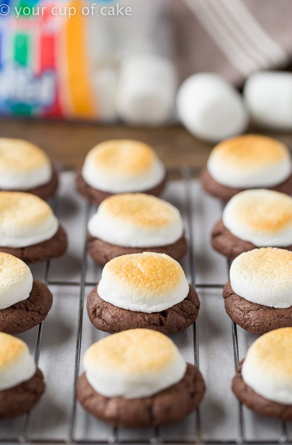 Hot Chocolate Cookies with Toasted Marshmallows