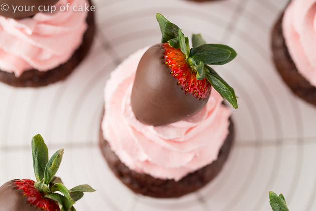 Chocolate Covered Strawberry Cupcakes with Strawberry Whipped Cream