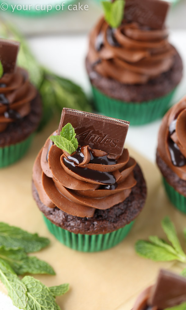 Triple Chocolate Mint Cupcakes Recipes with Andes Mints