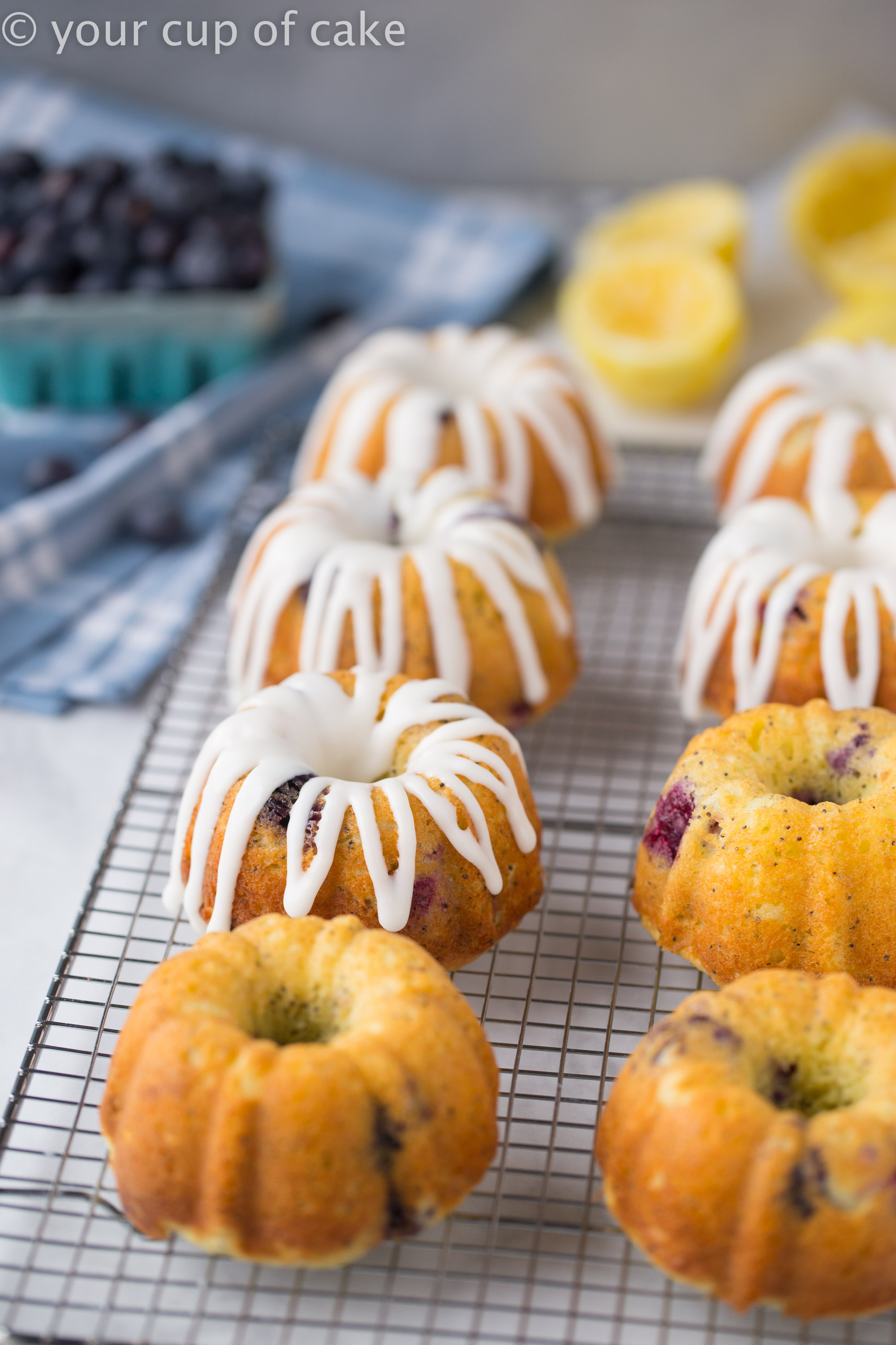 Moist Lemon-Blueberry Mini Bundt Cakes