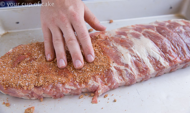 THE BEST Dry Rub for ribs!