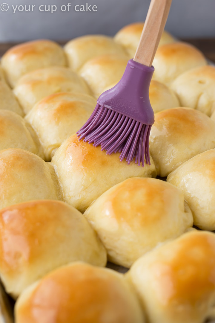 OBSESSED with this recipe for Mom's Best Dinner Rolls