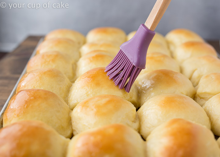 These rolls are so easy to make! Mom's Best Dinner Rolls