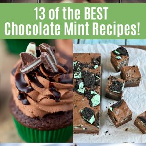 13 of THE BEST Chocolate Mint Recipes! Everything from cookies to cupcake to fudge!