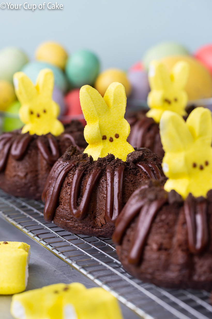 Bunny Bundt Cakes for Easter - Your Cup of Cake