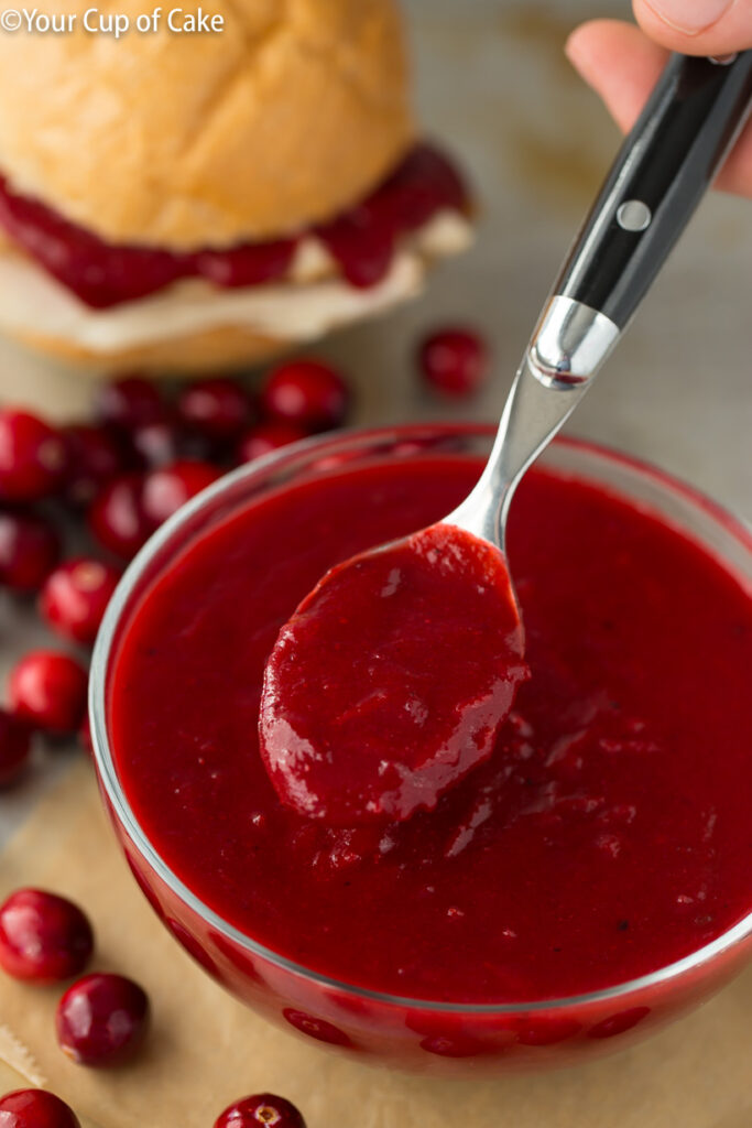 My family BEGS for this every Thanksgiving. Cranberry BBQ Sauce! We put it on leftover turkey sandwiches too!