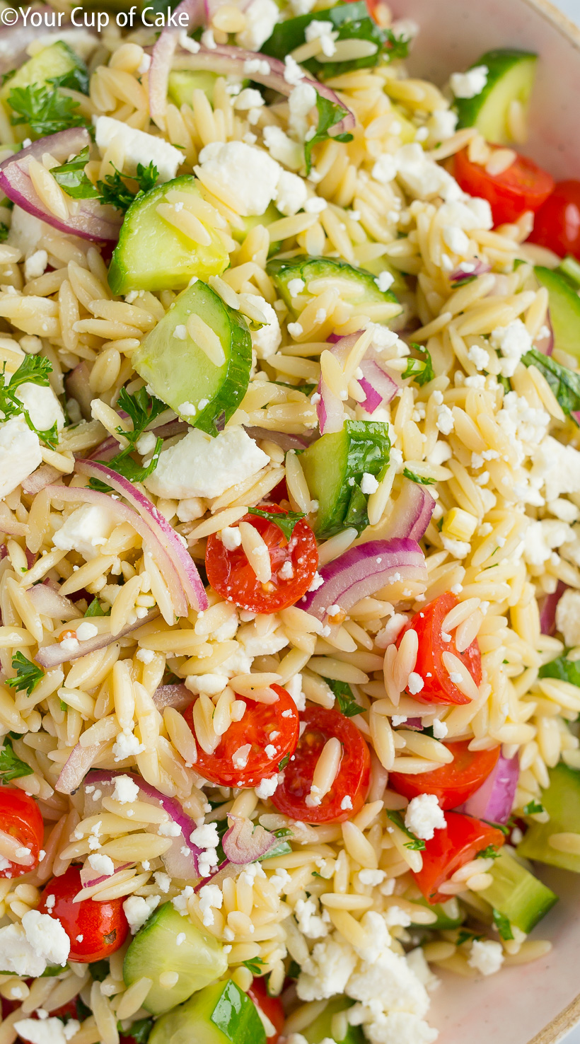 Easy to make Best Orzo Pasta Salad