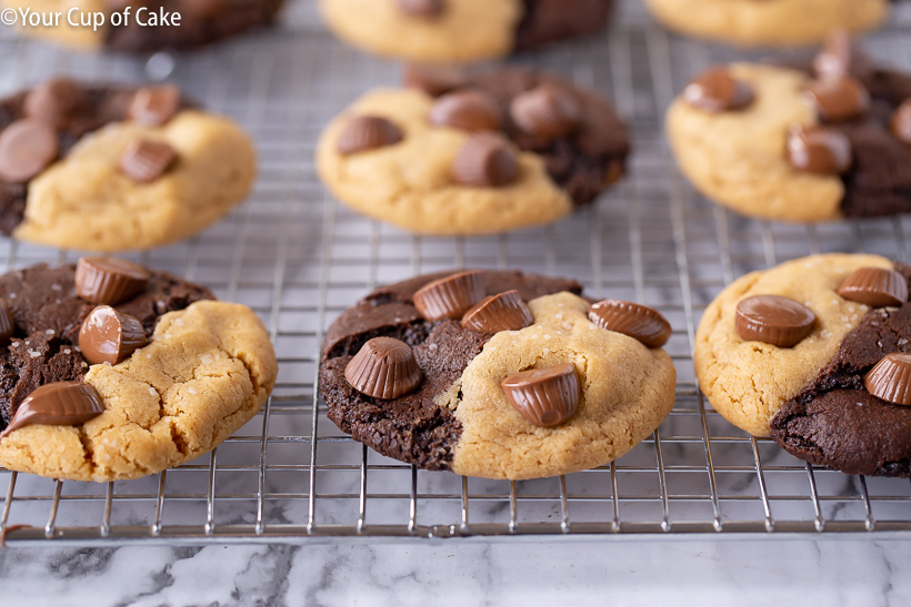The Best Chocolate Peanut Butter Cookies EVER