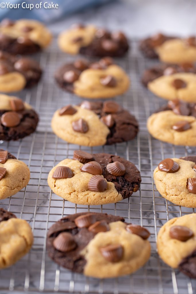 THE BEST COOKIES! Ultimate Chocolate Peanut Butter Cookies